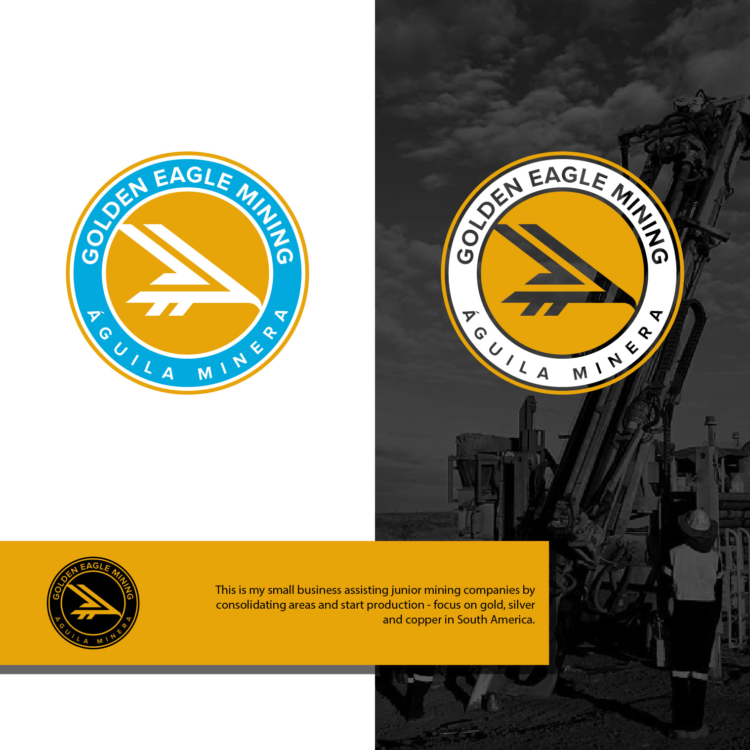 Logo Design by 4tech services for this project | Design #33677808