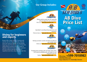 Flyer Design by LOM for AB Dive | Design: #33696304
