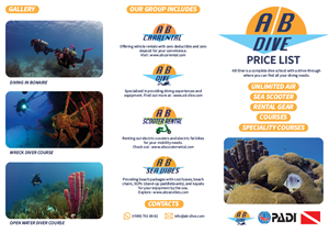 Flyer Design by Fahmi Daniyal for AB Dive | Design: #33688340