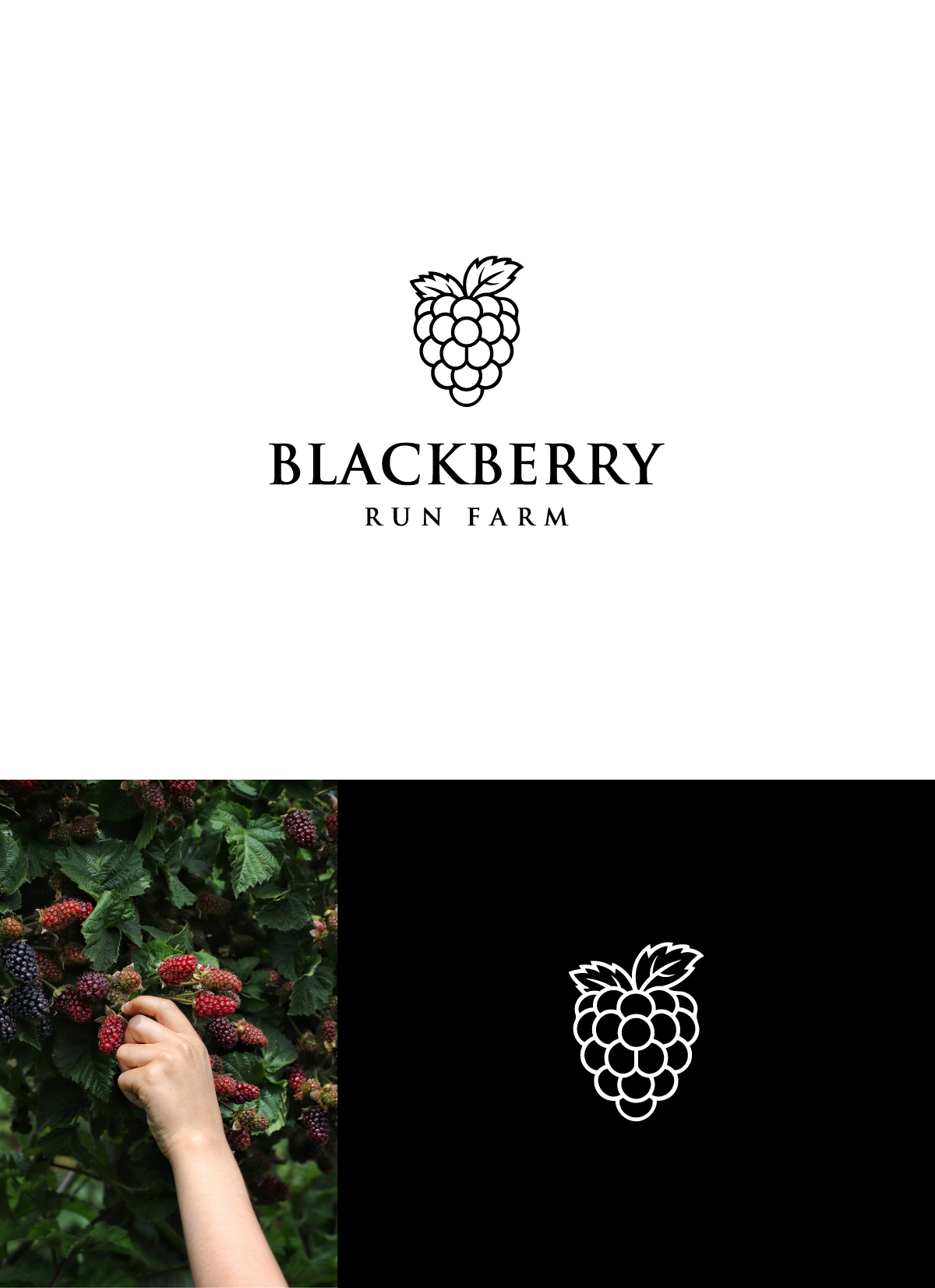 Logo Design by apik. for this project | Design #33679068