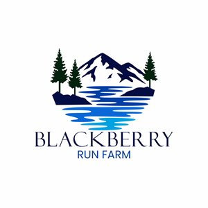 Logo Design by arillingga