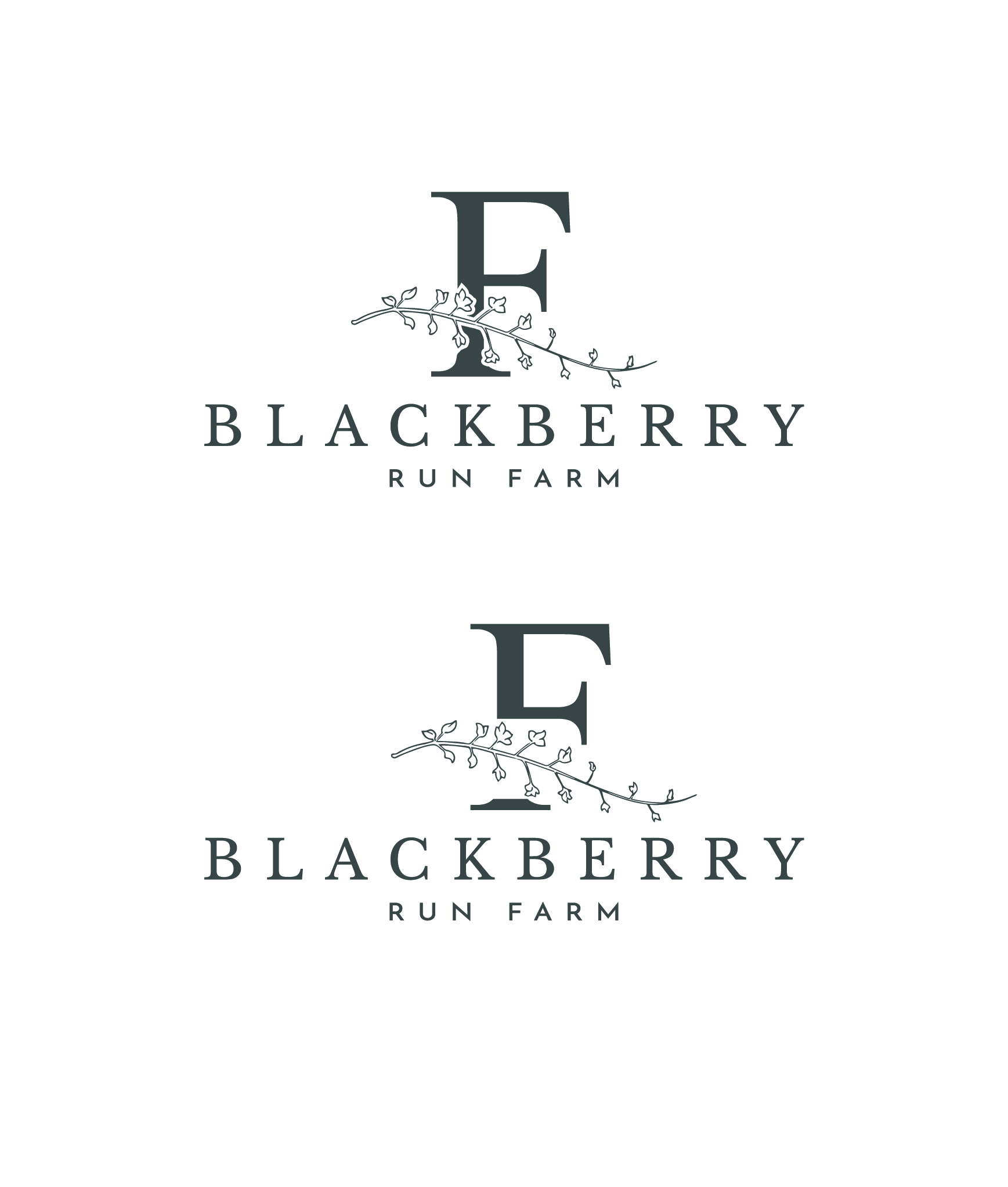 Diseño de Logo por BD_Designer_01 para este proyecto | Diseño #33780542