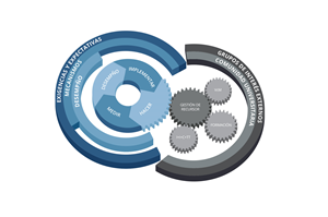 Infographic Design by MNM
