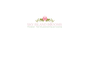Logo Design by Mesa Graphics