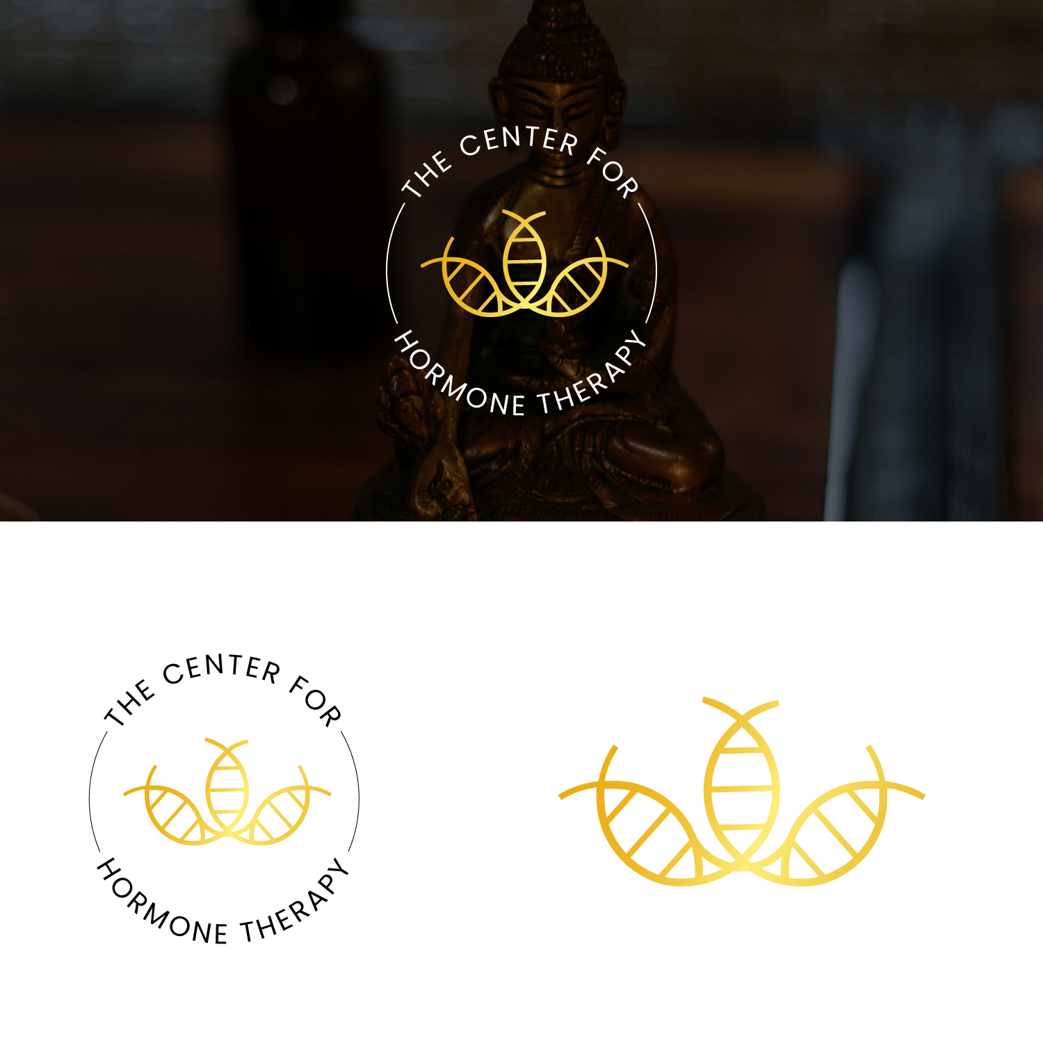 Diseño de Logo por Maxo-Biz para este proyecto | Diseño #33696638