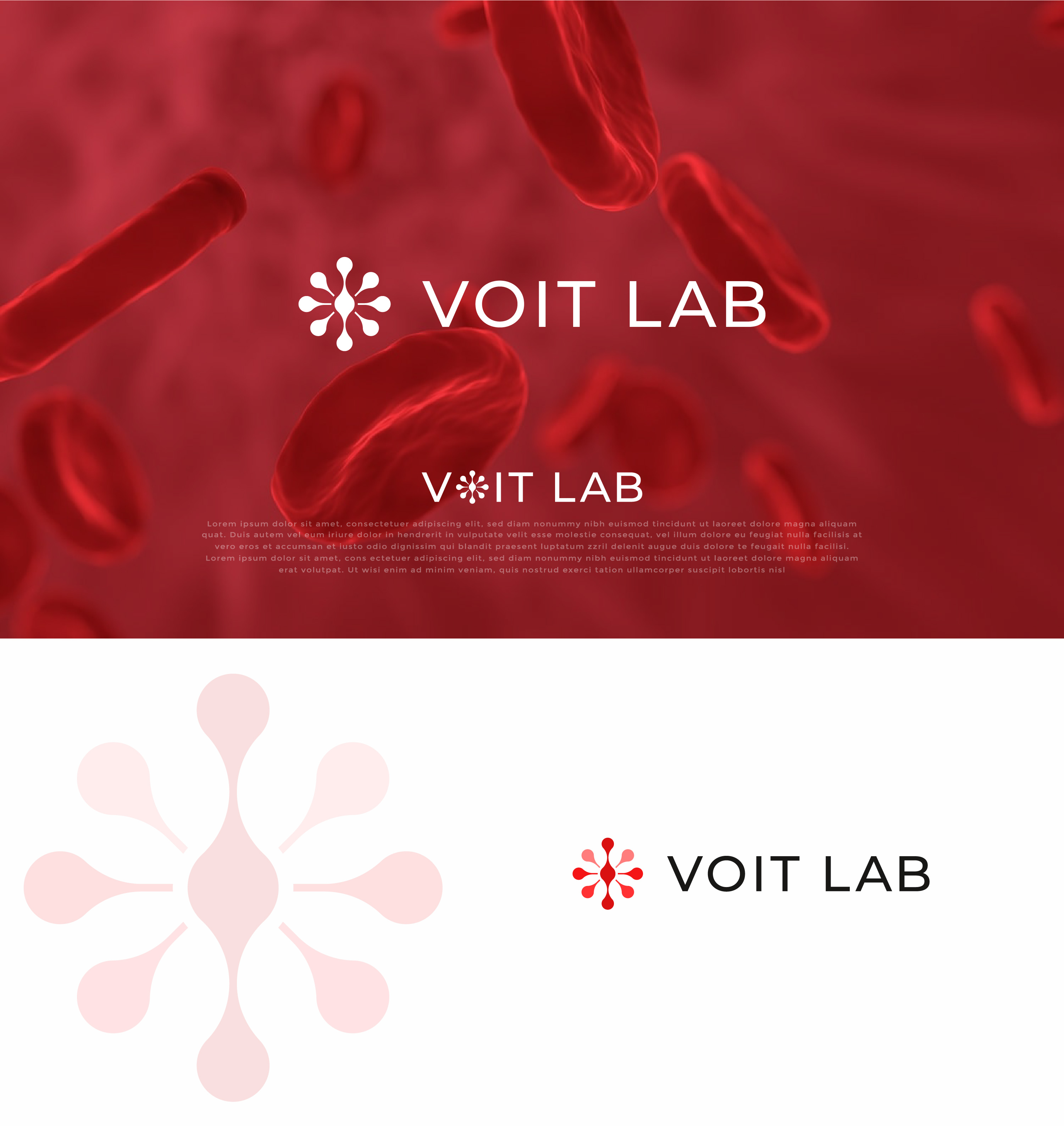 Logo Design by mehedi.h for this project | Design #33701303