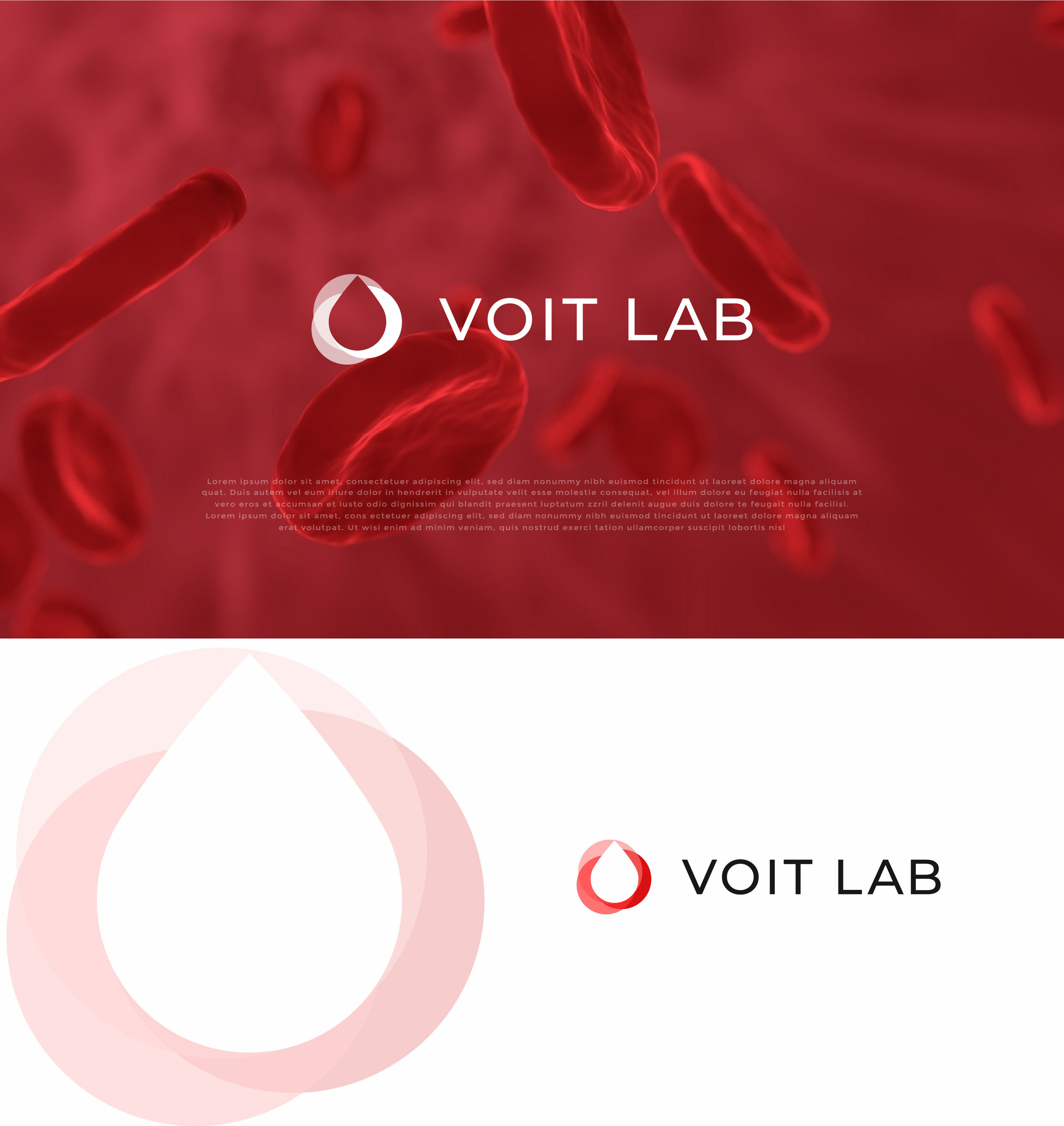 Logo Design by mehedi.h for this project | Design #33701713