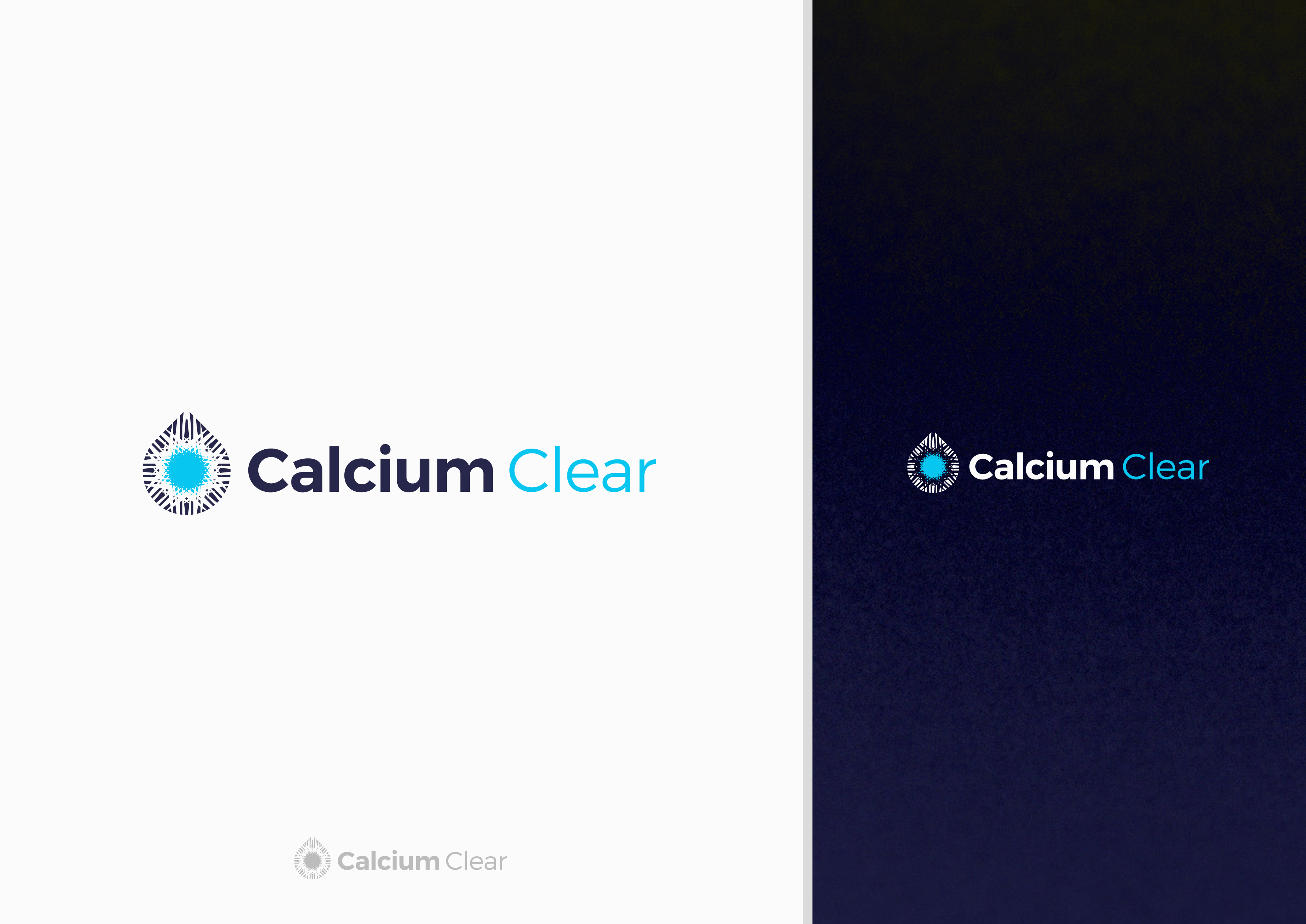 Diseño de Logo por DoveFendi para este proyecto | Diseño #33710431