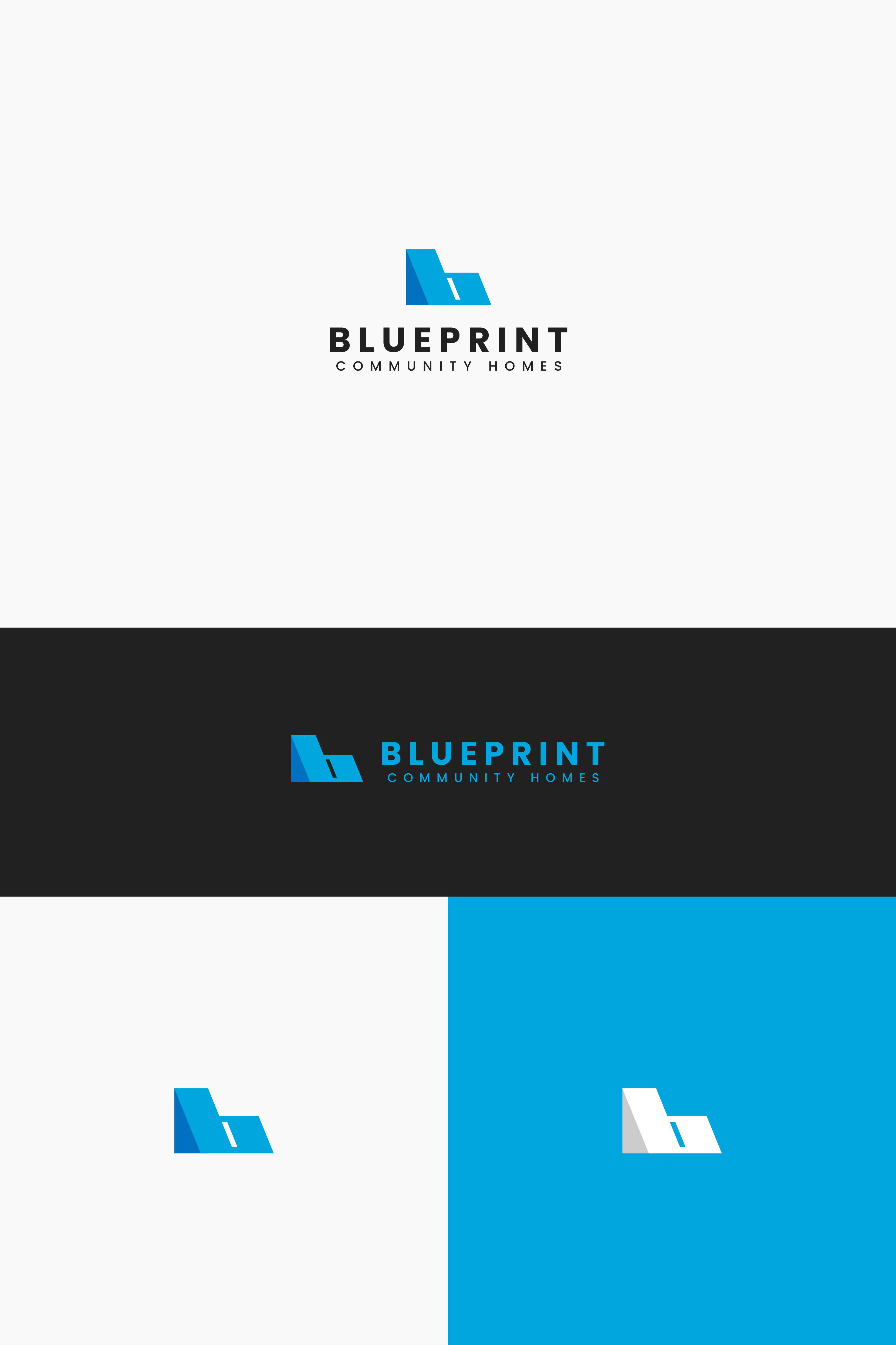 Logo Design by Boril Std for this project | Design #33710324
