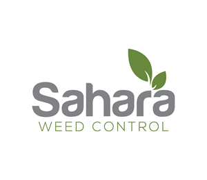 Logo Design by Nova_Create for this project | Design: #33717605