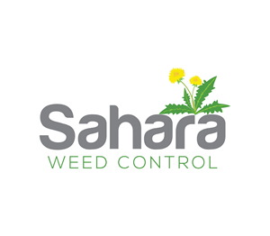 Logo Design by Nova_Create for this project | Design: #33751025