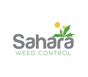Logo Design by Nova_Create for this project | Design: #33751026