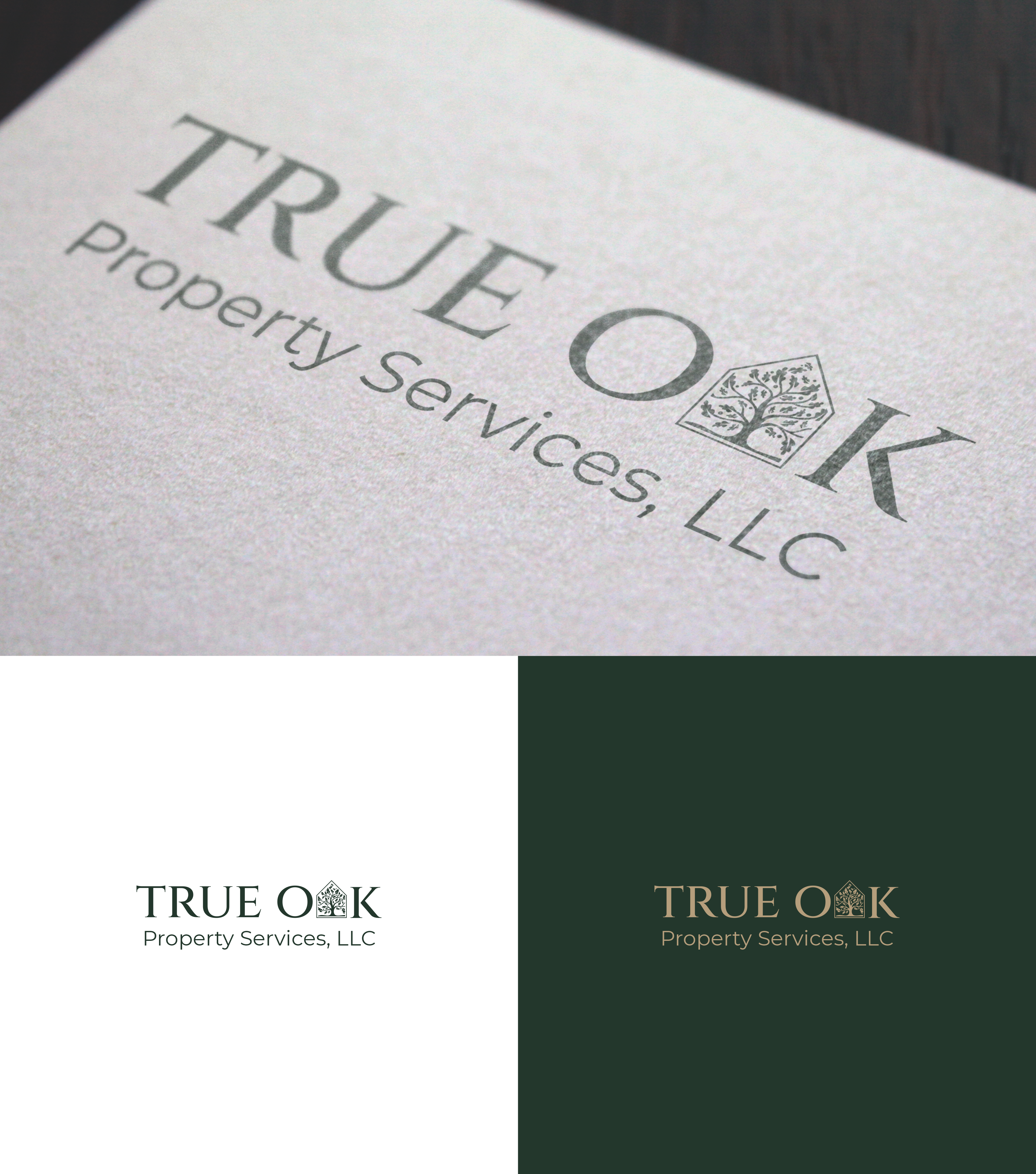 Logo Design by Lintangpryambodo for this project | Design #33723963