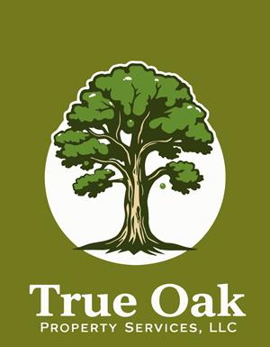 Logo Design by Abdul M.