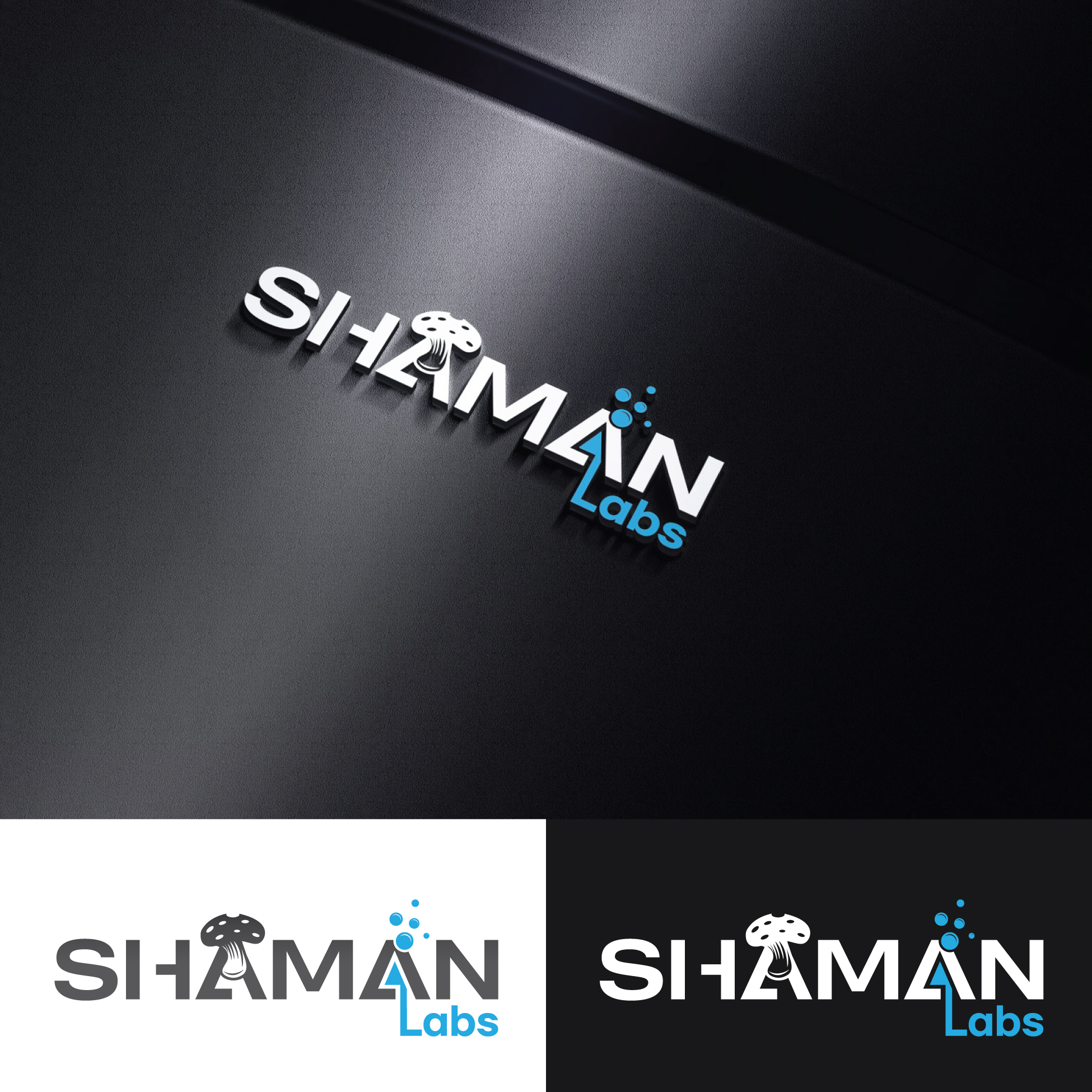 Design de Logo par StromDesignHub pour ce projet | Design #33731238