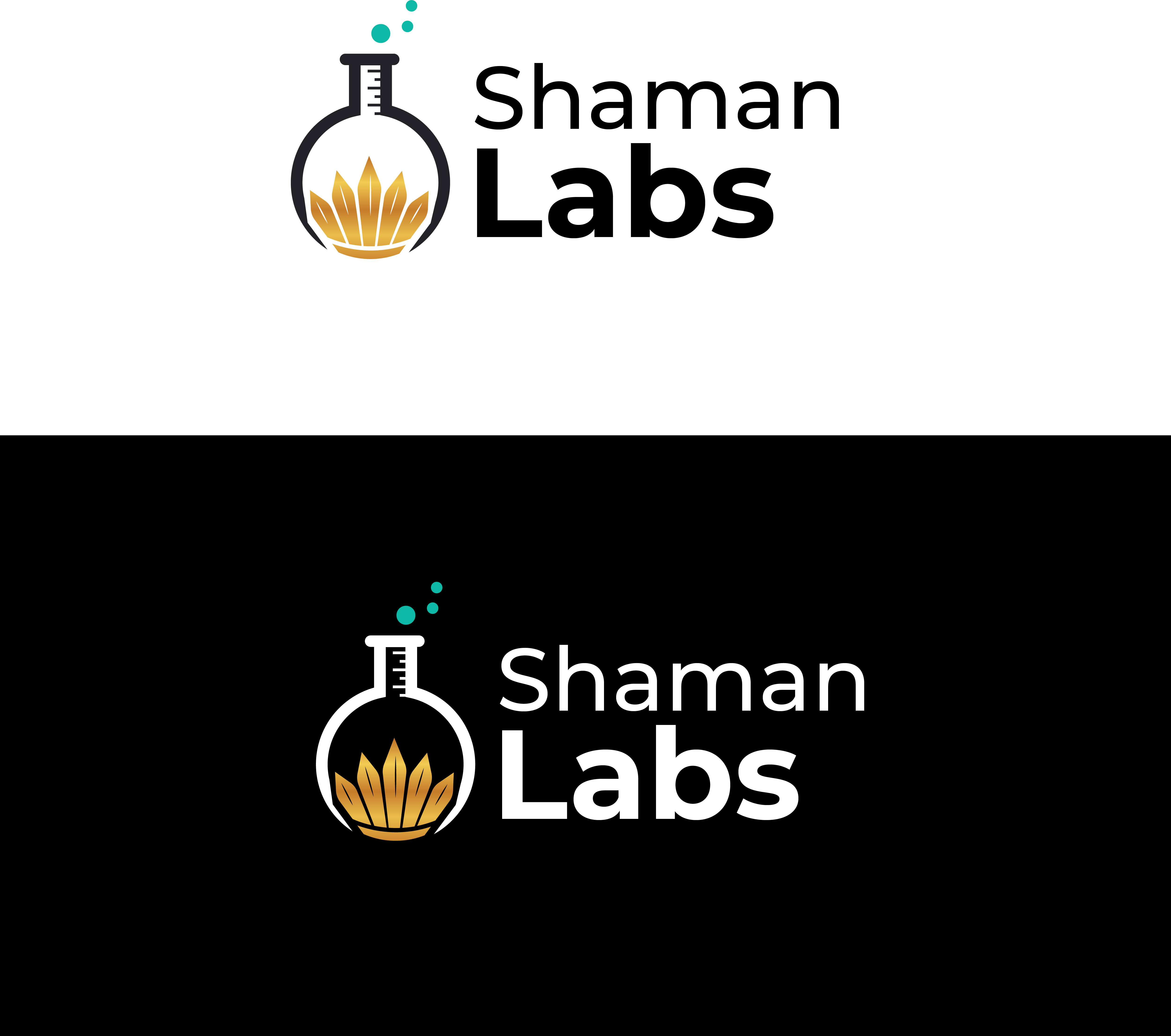 Diseño de Logo por Graphixpointt para este proyecto | Diseño #33732080