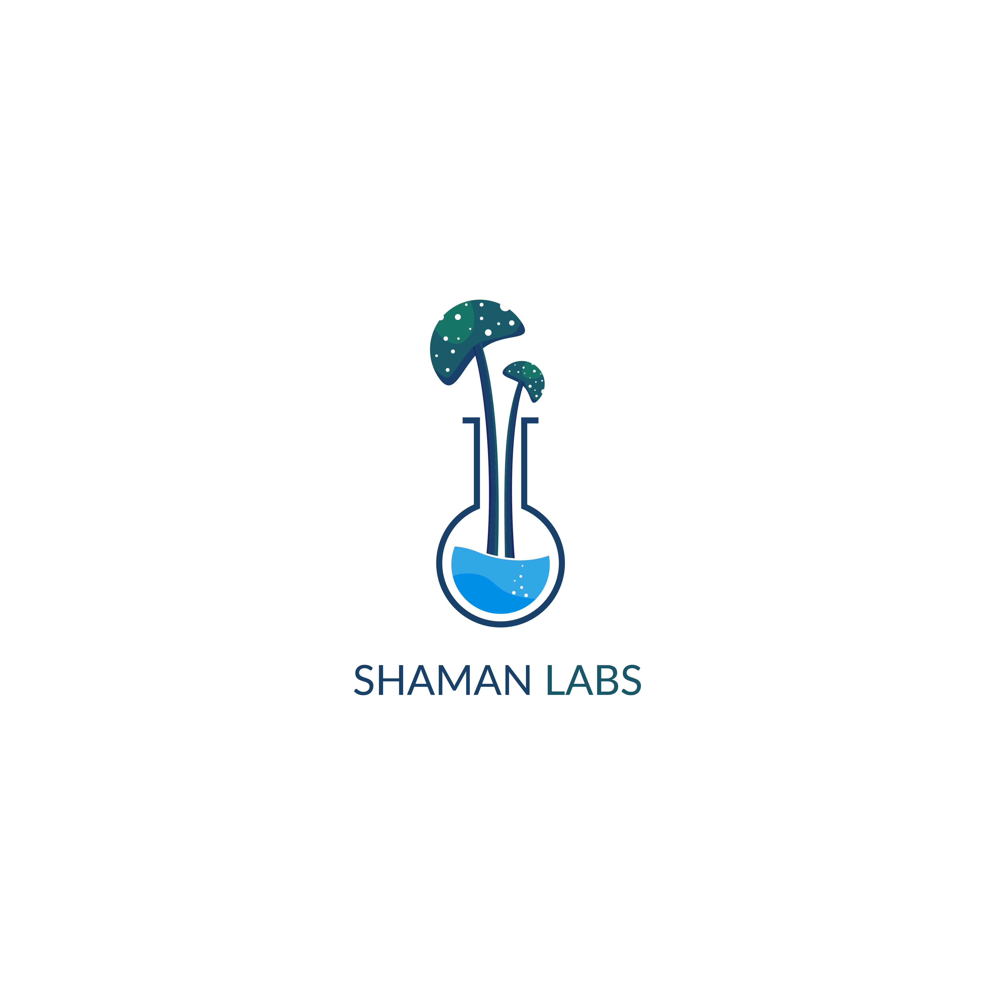 Diseño de Logo por MukulVibes para este proyecto | Diseño #33774778