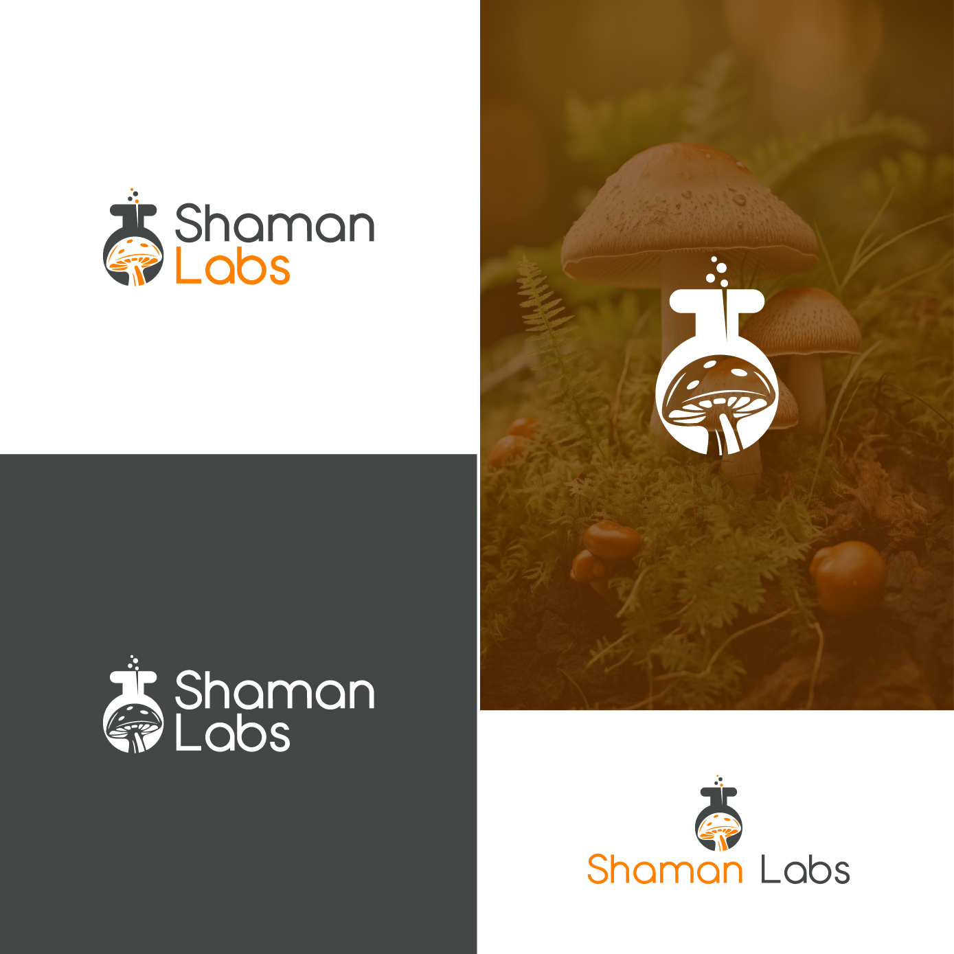 Logo Design by AL-BARAKAH for this project | Design #33728276
