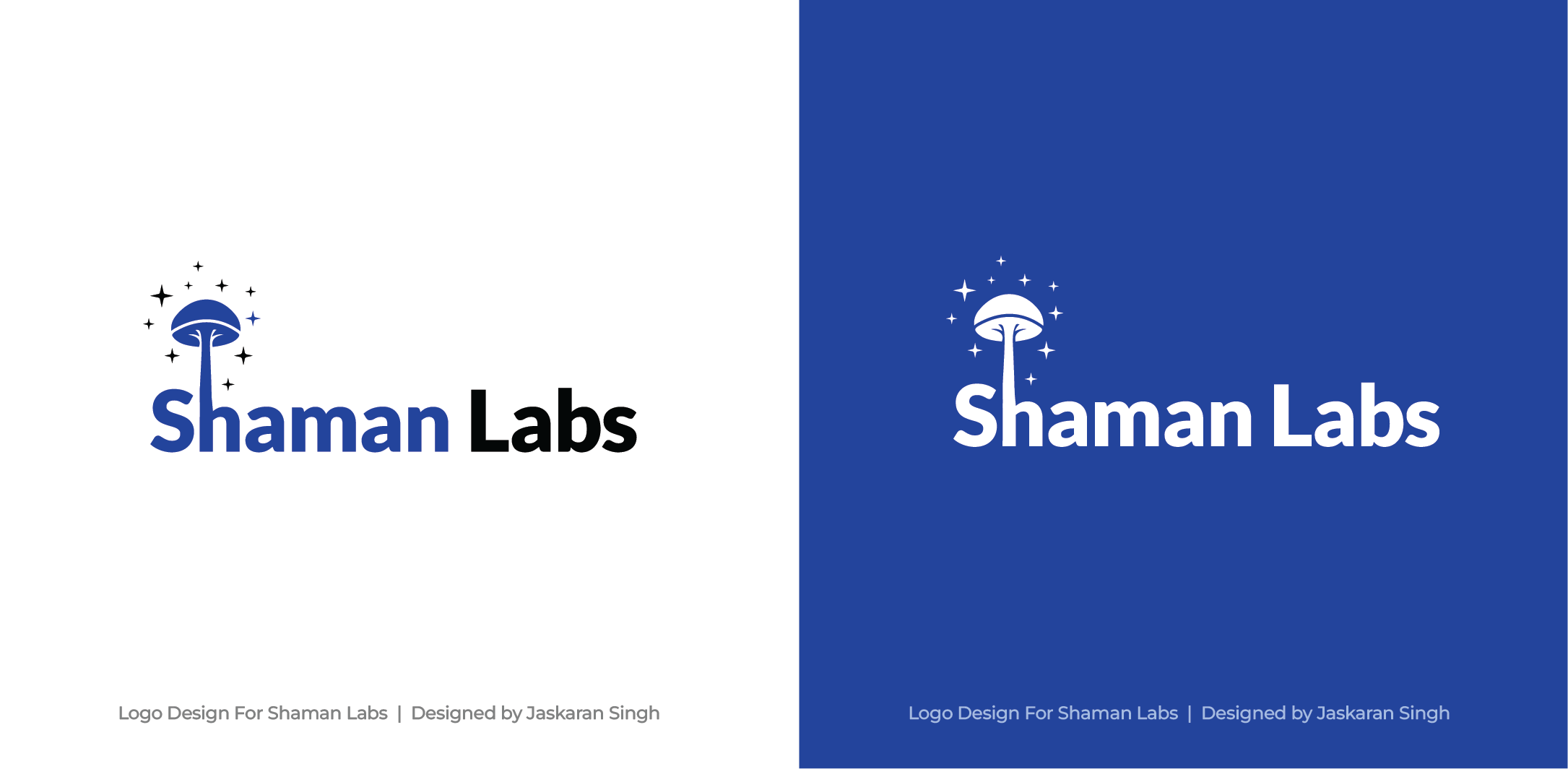 Logo Design by Jaskaran_Singh for this project | Design #33774846