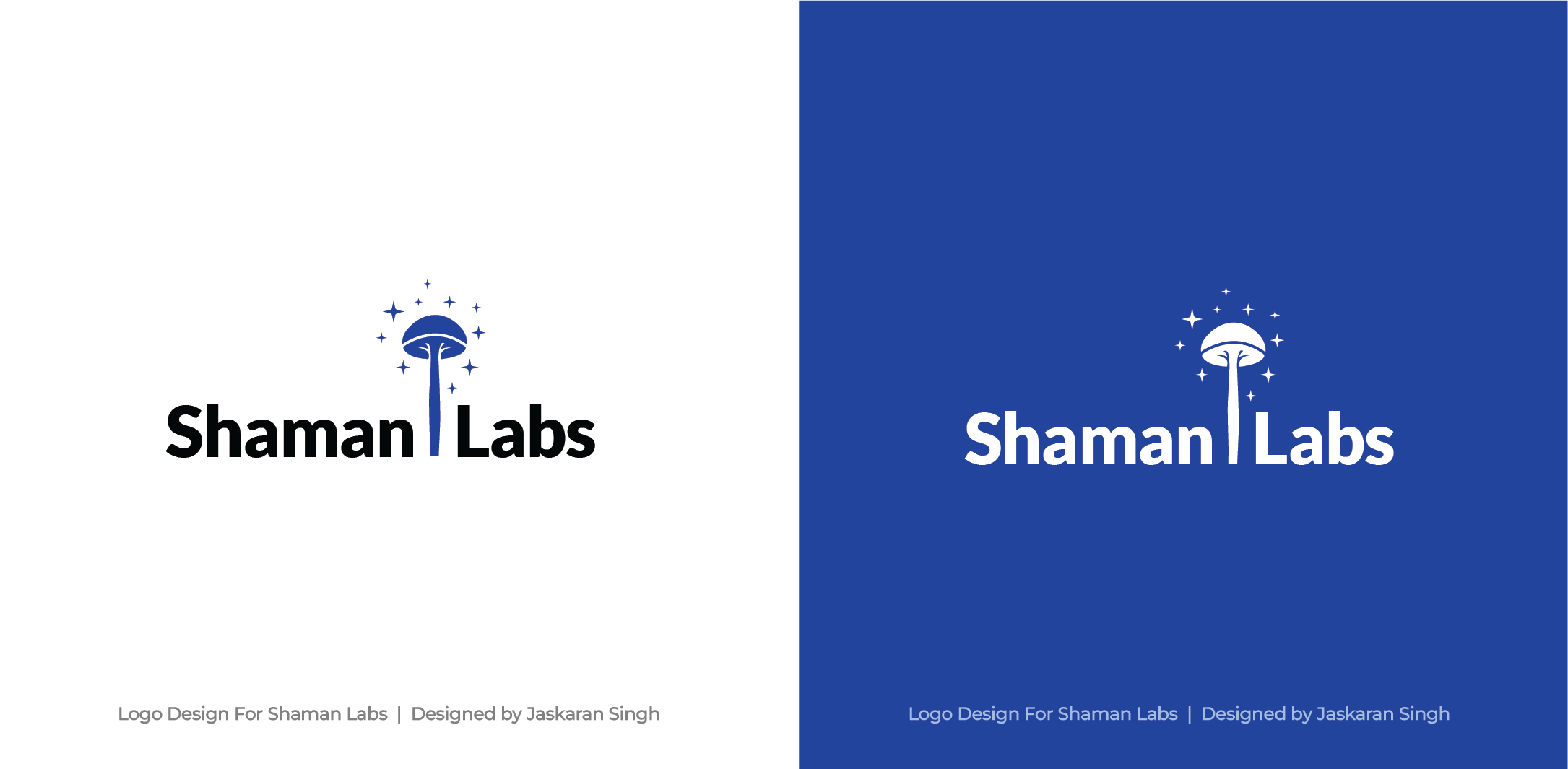 Logo-Design von Jaskaran_Singh für dieses Projekt | Design #33774849