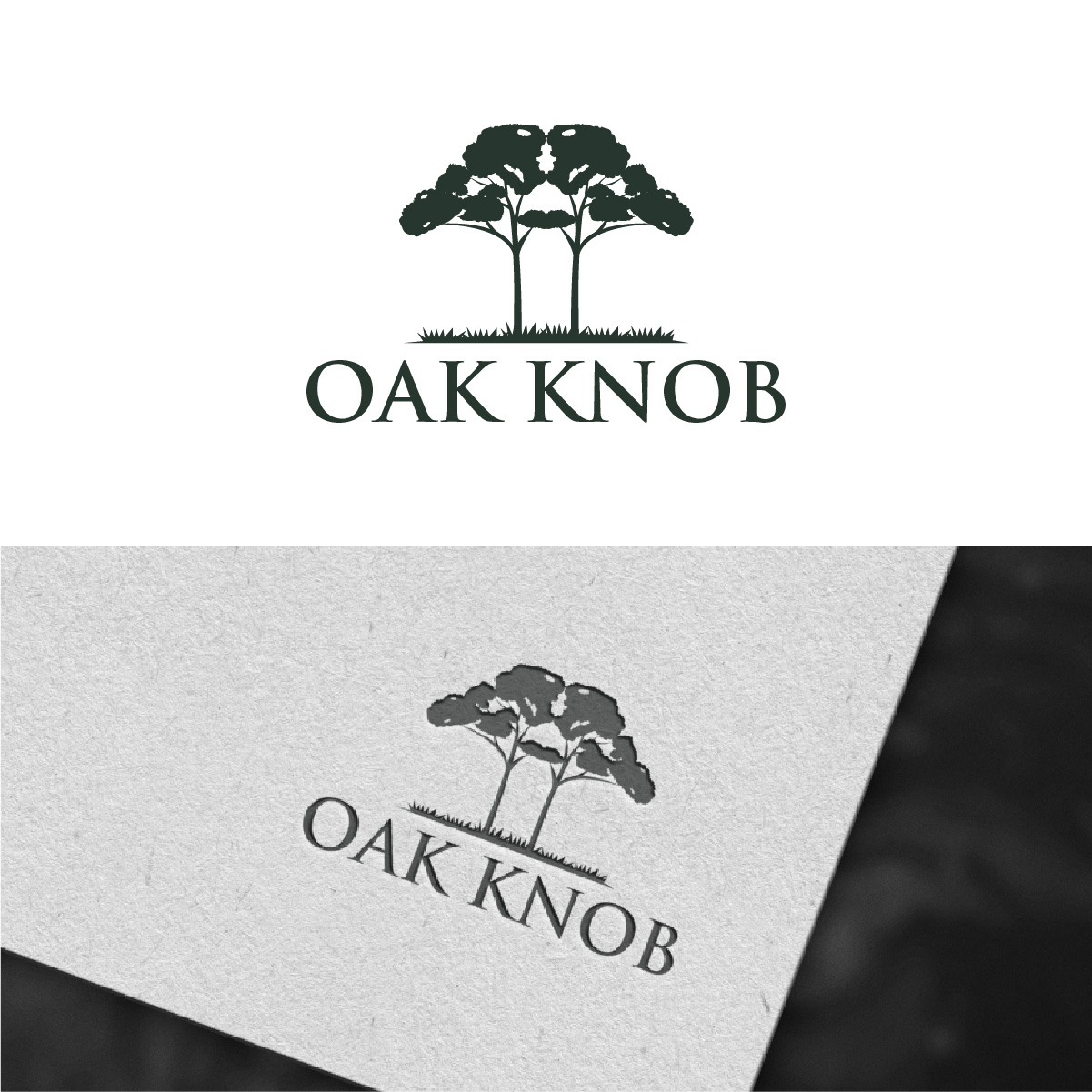 Logo Design by Loknath for this project | Design #33738277