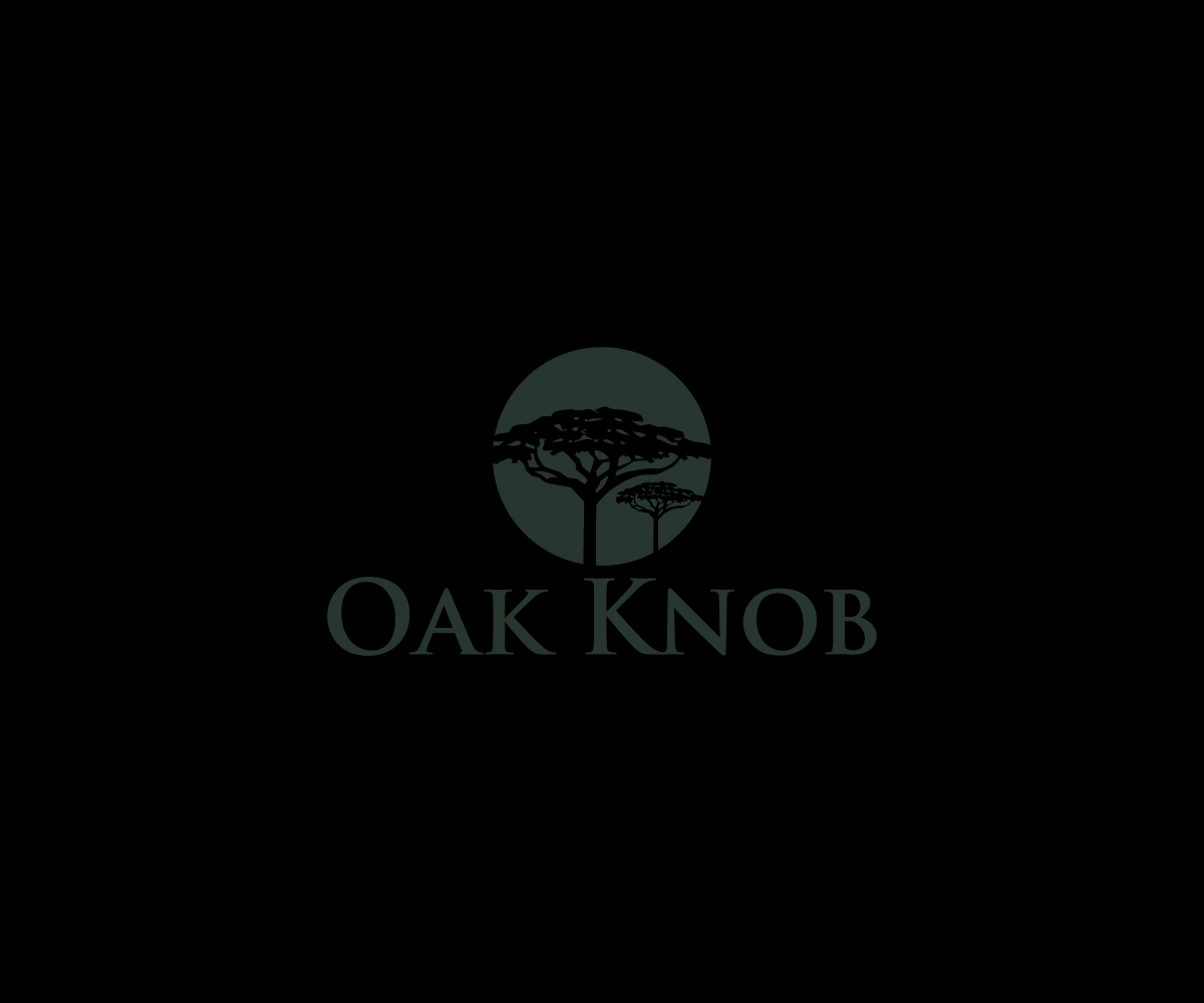 Logo Design by Spark  Design for this project | Design #33736965