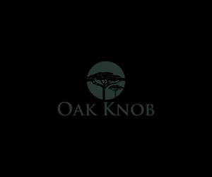 Logo Design by Spark  Design for this project | Design: #33736965