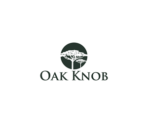 Logo Design by Spark  Design for this project | Design: #33736966
