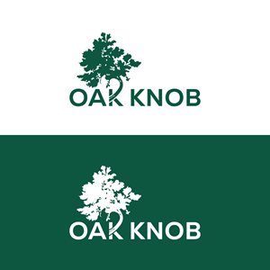 Logo Design by Md Nurullah 1 for this project | Design: #33732701
