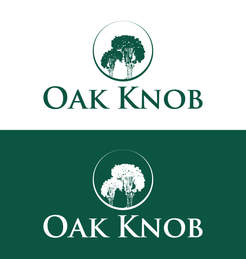 Logo Design by Impressive logo for this project | Design #33732669