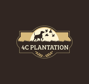 Logo Design by Onse Officials