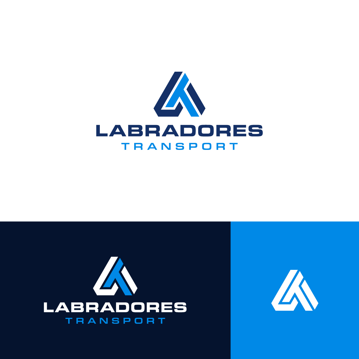 Logo Design by The Lion Studios for this project | Design #33733858