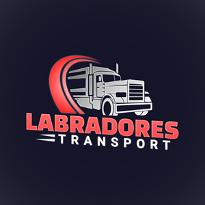 Logo Design by Widphic
