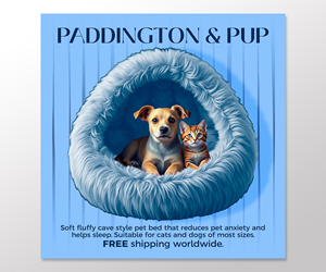 Graphic Design by NancyTan for this project | Design: #33740054