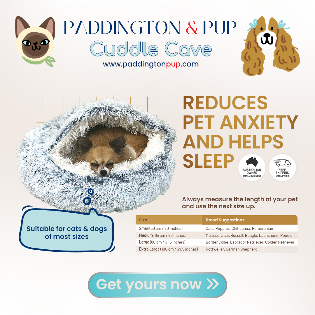 Graphic Design by nadhisa87 for this project | Design #33772349