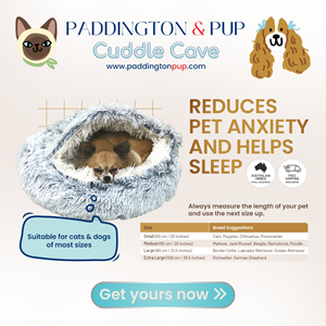 Graphic Design by nadhisa87 for this project | Design: #33772349