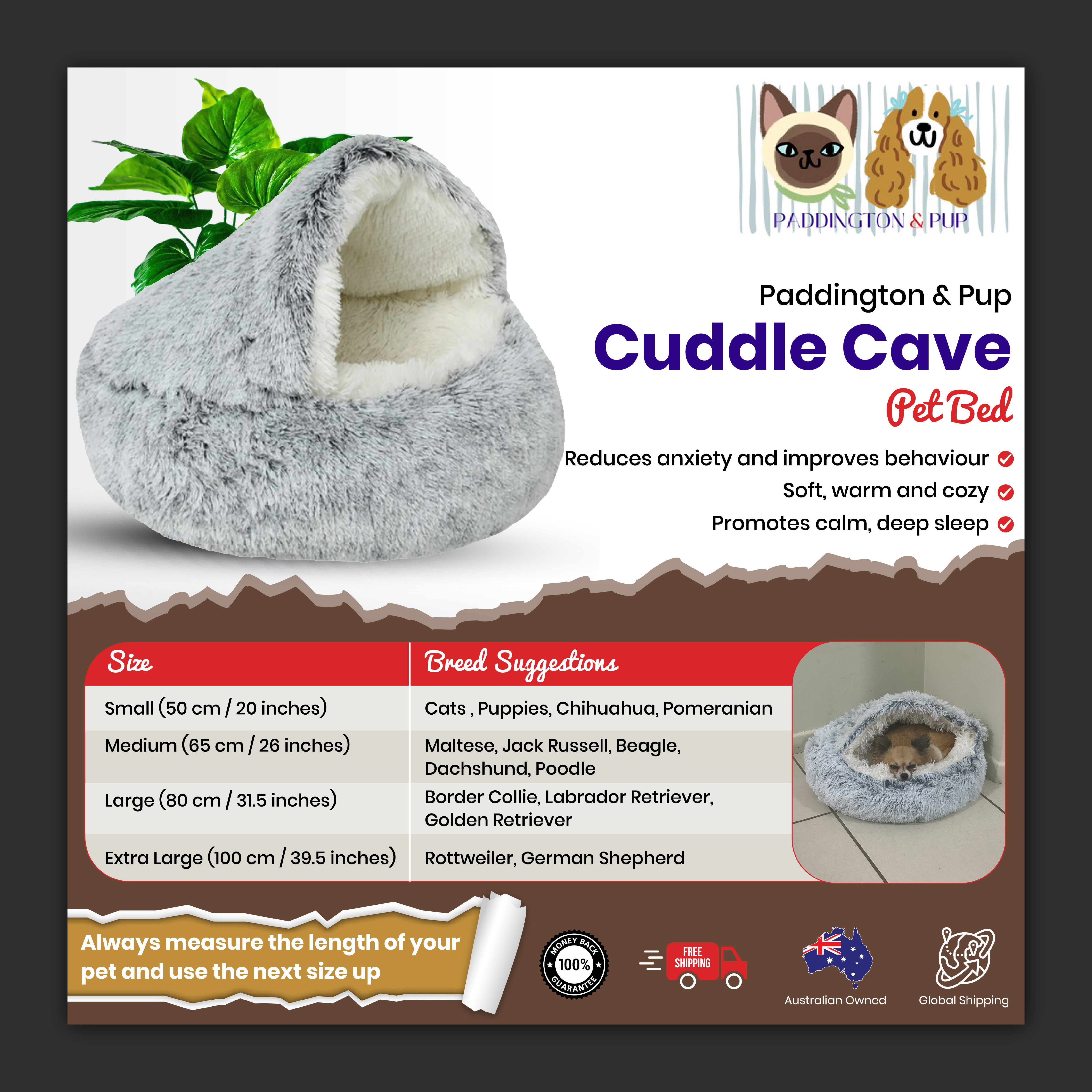 Graphic Design by Bidita Saha for this project | Design #33741195