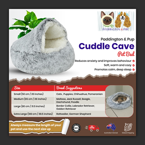 Graphic Design by Bidita Saha for this project | Design: #33741195