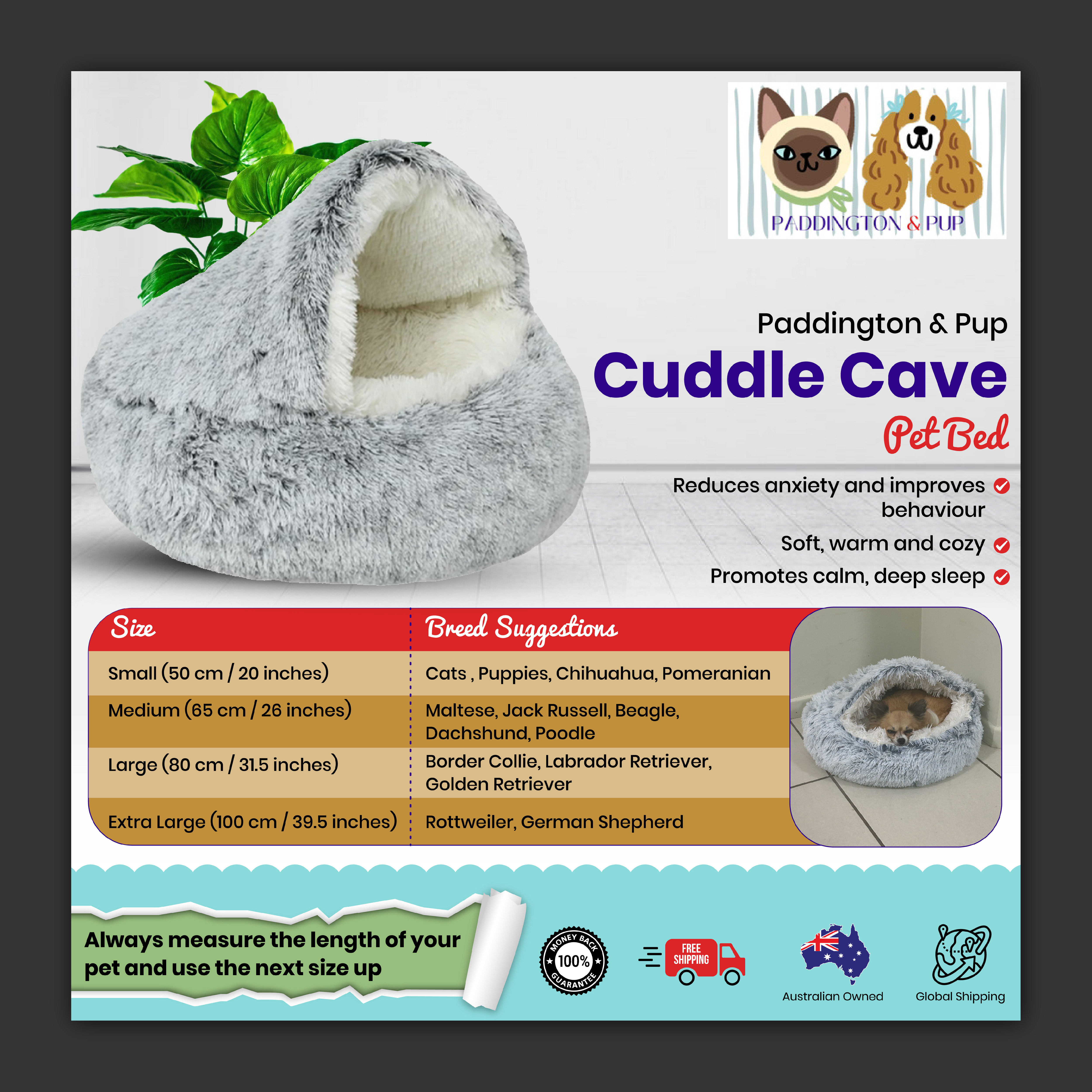 Graphic Design by Bidita Saha for this project | Design #33743260