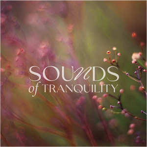 Logo Design by Kimh for this project | Design: #33736578