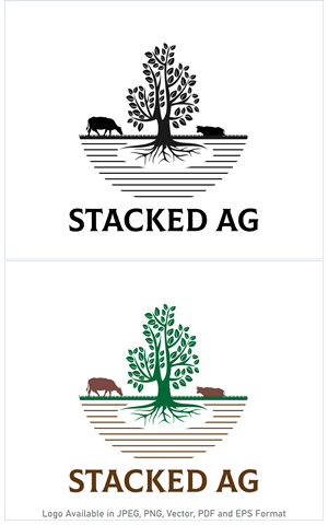 Logo Design by BEJIN