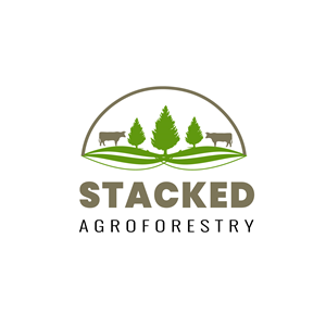 Logo Design by Mesa Graphics