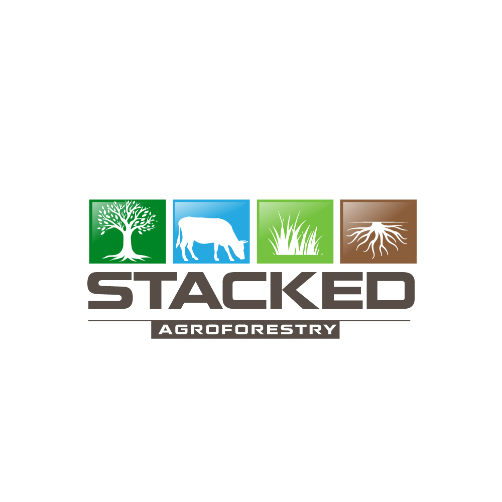 Logo Design by Krold IT Solutions for this project | Design #33816977