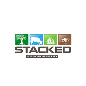 Logo Design by Krold IT Solutions for this project | Design: #33816977