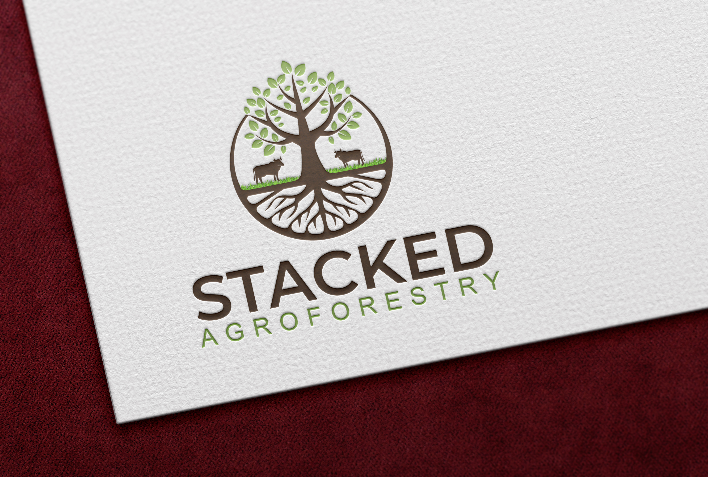 Logo Design by Mir Graphics for this project | Design #33738464