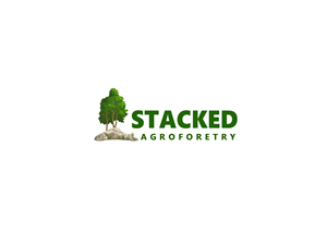 Logo Design by nouarbiti