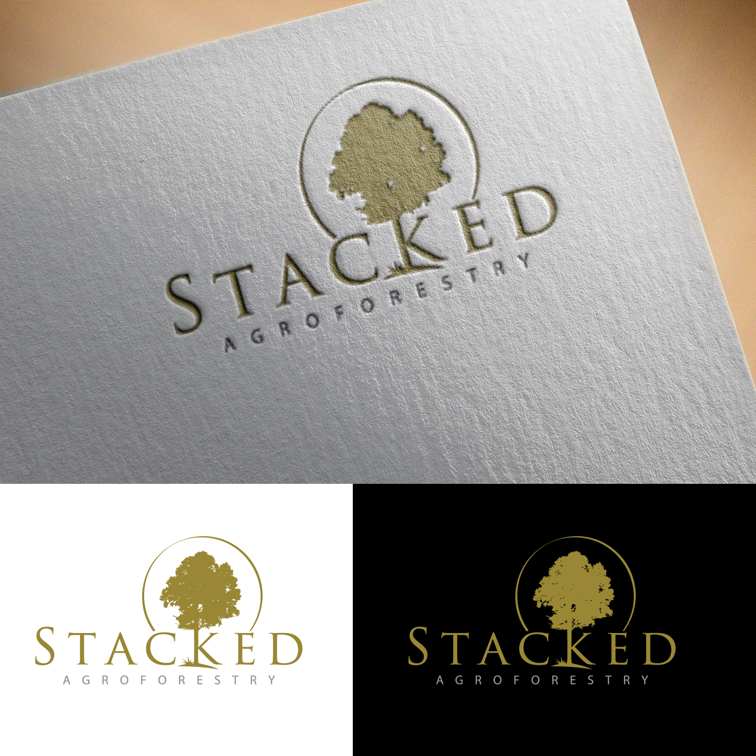 Diseño de Logo por GODDREAMCREATION para este proyecto | Diseño #33776620