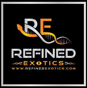 Logo Design by RS_Design for this project | Design: #33766231