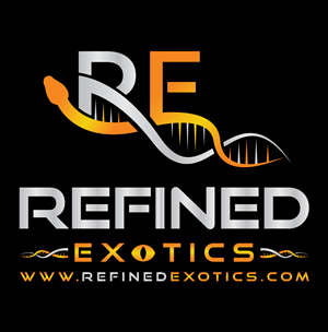 Logo Design by RS_Design for this project | Design: #33766232