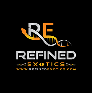 Logo Design by RS_Design for this project | Design: #33767332